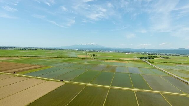 6月の庄内平野1