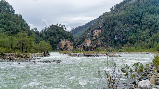 Namnam River flows through rocky banks and lush green pine forest in Mugla, Turkey. Wild mountain river landscape under a cloudy sky.