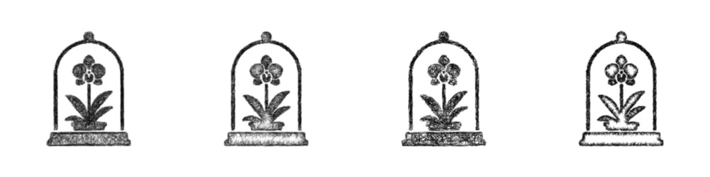 Sketch rare plant icon design set