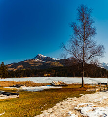 Fototapeta premium Alpine spring view with Mount Kitzbueheler Horn seen from Lake Schwarzsee, Kitzbuehel, Tyrol, Austria