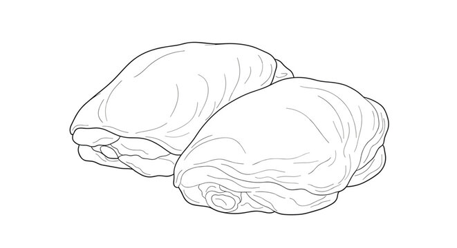 Detailed black and white line art illustration of two raw chicken thighs with skin on isolated on a white background.