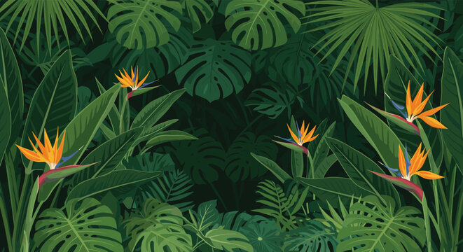 Lush tropical background featuring dense green monstera leaves and bright bird of paradise flowers in a jungle setting.