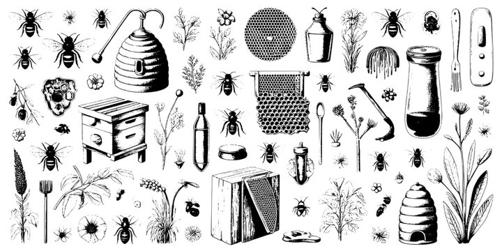 Bees and Honeycomb Doodle Pattern with Hives, Flowers, and Grass, Hand-Ink Sketch Style for Nature Craft and Packaging