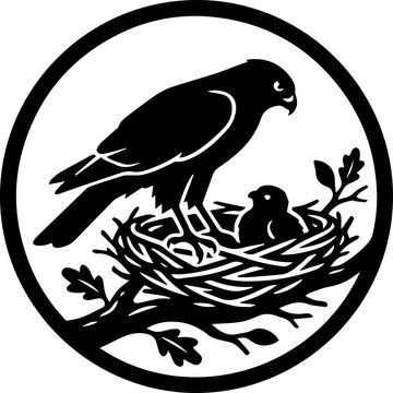 black sparrowhawk sit in the nest with baby