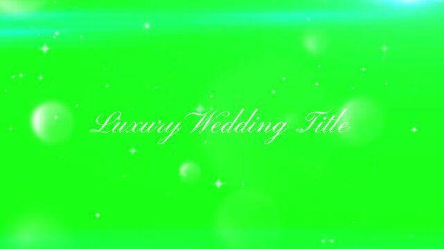 Luxury wedding title features elegant cursive script lettering centered amidst a soft green background with glowing bokeh light orbs and ethereal dust particles floating in a dreamy composition.