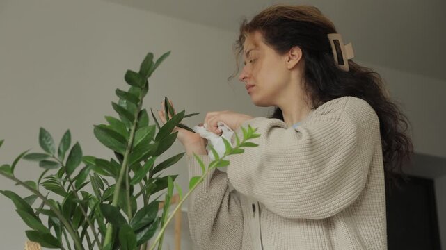 Young woman gently cleaning houseplant leaves