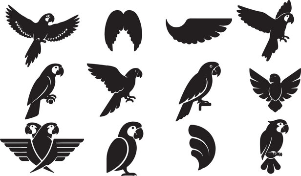 Vector collection of black parrot and macaw silhouettes, featuring flying birds, perched parrots, and various wing icons isolated on a white background for logos and design.