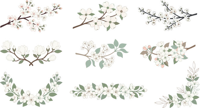 Blooming cherry blossom branches vector collection featuring elegant spring floral dividers corners and laurels with white apple blossoms for wedding design decoration