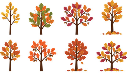 Flat autumn oak tree vector set with colorful fall leaves and acorns for seasonal nature landscape design elements isolated on white background © MdShakib