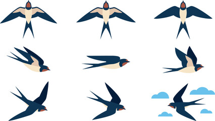 Flying swallow bird vector collection featuring elegant barn swallows in different flight poses with open wings fornature migration and springtime designs © MdShakib
