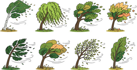 Windy weather vector set with various cartoon trees bending in strong storm wind with flying autumn leaves on white background © MdShakib