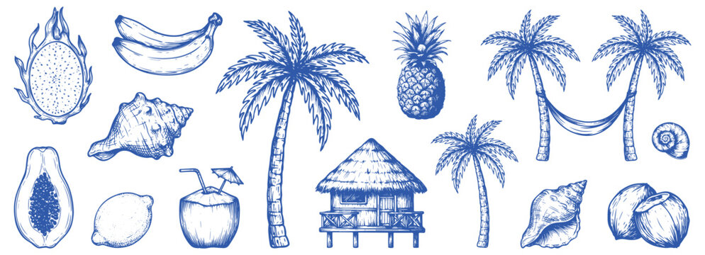 Bali Tropical Vector Illustration Collection with Hand Drawn Coconut Palm Trees, Exotic Fruits and Seashells, Blue Charcoal Doodle Sketches for Posters and Placards