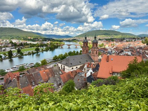 Miltenberg am Main von der Miltenburg aus 