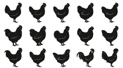 Fototapeta premium Black White Vector Illustration of Roosters and Hens in Various Poses