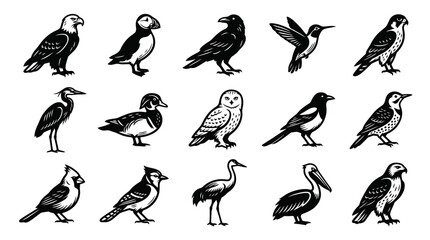 Obraz premium Black and White Line Art Collection of Various Birds on White Background
