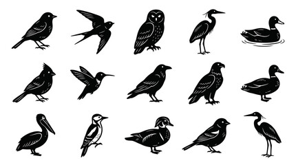 Obraz premium Nature Wildlife Birds Vector Icons Set in Black and White Woodcut Style - Avian Species Collection