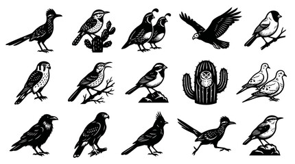 Obraz premium Southwestern Desert Birds Vector Set. Monochrome Engraving Style Wildlife Avian Species Collection.