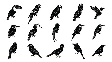 Fototapeta premium Nature Wildlife Birds Black and White Glyph Illustration Set - Diverse Avian Species Icons Collection.