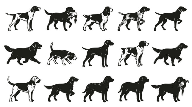 Black and White Hunting Dog Breeds Vector Icon Set. Line Art Gun Dogs Collection for Outdoor Sports and Pet Niche.