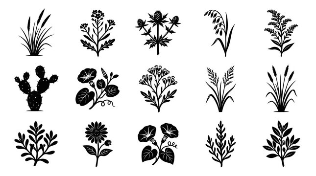 Nature Plants Silhouette Collection - Diverse Wildflowers, Crops, Grasses  Botanical Glyphs