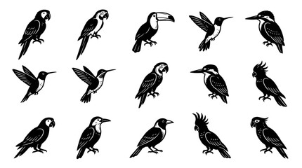 Obraz premium Diverse Bird Species Black and White Vector Illustrations Set for Nature, Wildlife, and Ornithology Designs