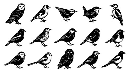 Fototapeta premium Black and White Line Art Collection of Diverse Bird Silhouettes
