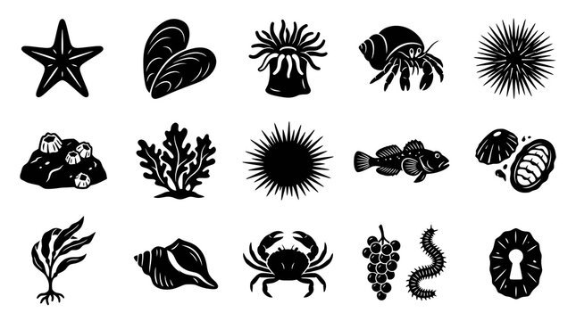 Black and White Icons of Marine Life and Sea Creatures in Line Art Style