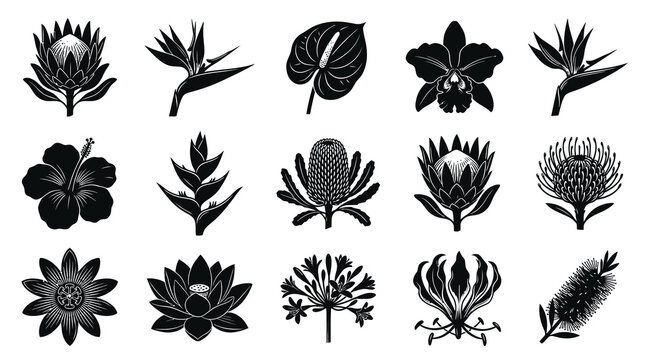 Botanical Black and White Vector Glyphs Set of Exotic Tropical Flowers and Plants for Nature Industry