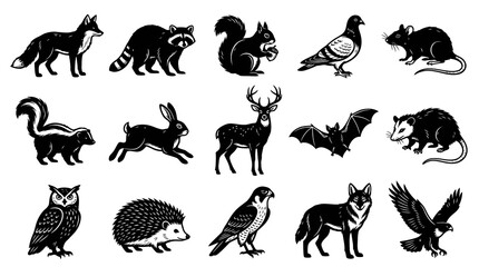 Obraz premium Wildlife Nature Animals Black White Line Art Engraving Set: Fox, Raccoon, Deer, Owl, Wolf, Bat