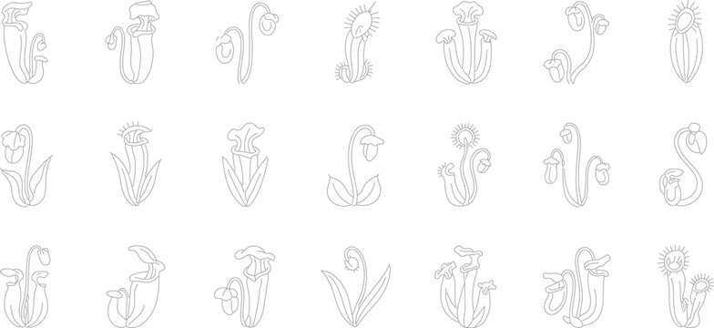 Minimalist outline icon set featuring various carnivorous plants such as pitcher plants, Venus flytraps, and cobra lilies. Black and white line art graphics of exotic botanical species.