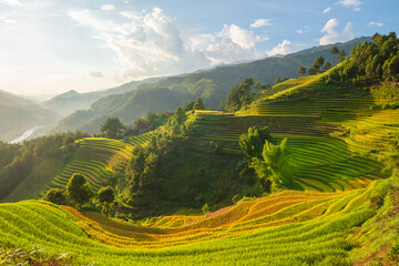 Fototapeta premium Natural and urban views of Vietnam