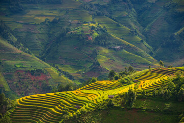 Natural and urban views of Vietnam © anuchit2012