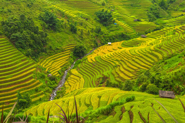 Obraz premium Natural and urban views of Vietnam