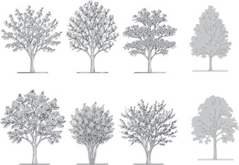 Obraz premium Flowering Ornamental Trees Vector Collection Botanical Line Art