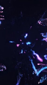 A Spectacular Display of Colorful Explosions Captured in Two Frames, Showcasing the Mesmerizing Transformation from a Single Burst to a Vivid Burst of Hues Against a Dark Background