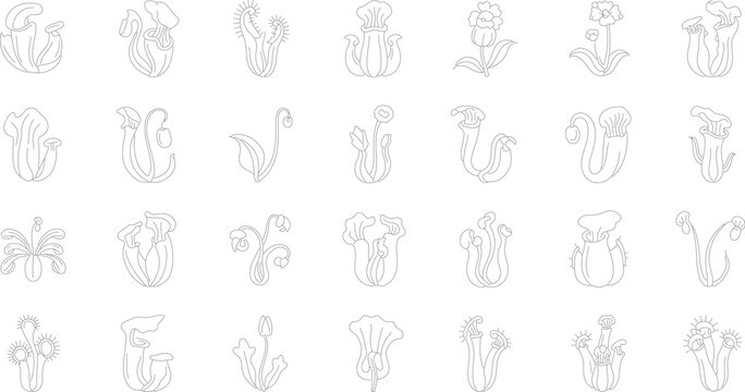 Collection of minimalist black and white outline icons representing diverse carnivorous plant species including pitcher plants, Venus flytraps, sundews, and trumpet pitcher plants.