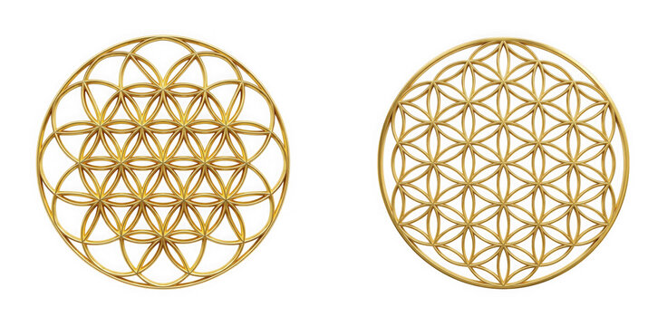 Pair of golden sacred geometry flower of life symbols as cut out PNG isolated on transparent background