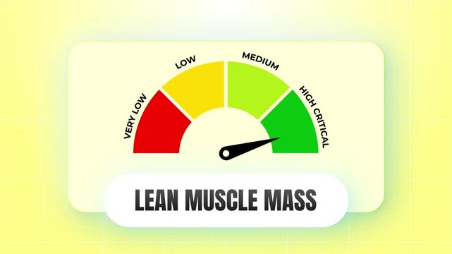 Animated Gauge Chart Visualizing Lean Muscle Mass Levels with Smooth Needle Movement and Modern Flat Design Aesthetics in 4k video