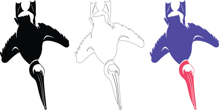 Diving pelican silhouette vector set, seabird line art and colorful icon on transparent background