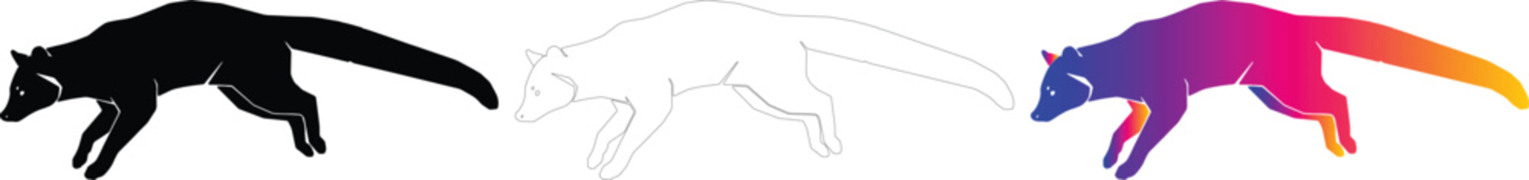 Binturong bearcat vector silhouettes in black, line art, and colorful gradient style