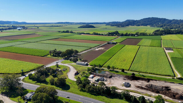 Aerial View of Lush Green Sugarcane Fields and Farmland in Australia
