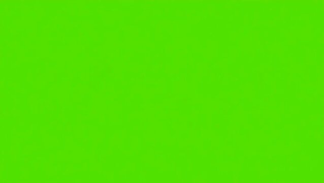 Chameleon Catches Fly Icon, Success Goal Target Concept, 2D Vector Animation on Green Screen
