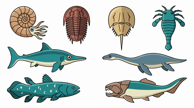 Prehistoric sea life collection presenting various ancient marine animals and fossils, showcasing evolution and diversity of extinct aquatic creatures for educational content