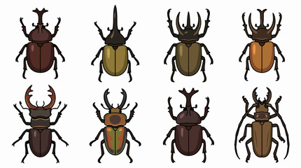 Obraz premium Diverse collection of rhinoceros beetles and stag beetles showcasing various species and their unique horn and antler formations, illustrating insect morphology and entomology