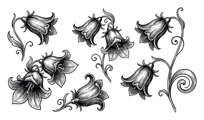 Obraz premium Vintage Floral Elements Vector Illustration