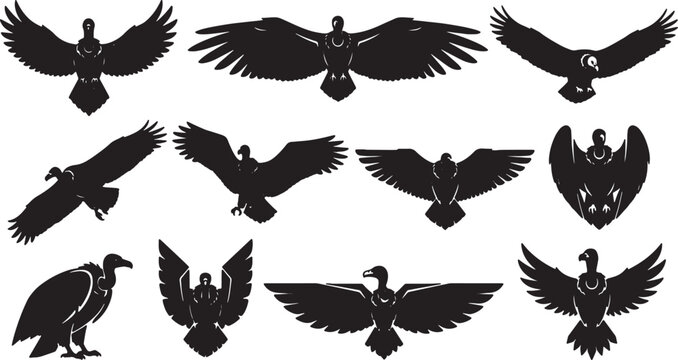 Set of black vulture and condor silhouettes featuring various flying and soaring poses. Collection of eleven graphic bird of prey icons with outstretched wings on white background.
