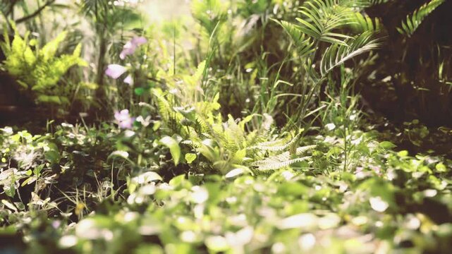 Lowangle wildflower carpet with sunlit bokeh and soft focus, tiny blooms and clover filling foreground, warm golden light and shallow depth of field emphasize