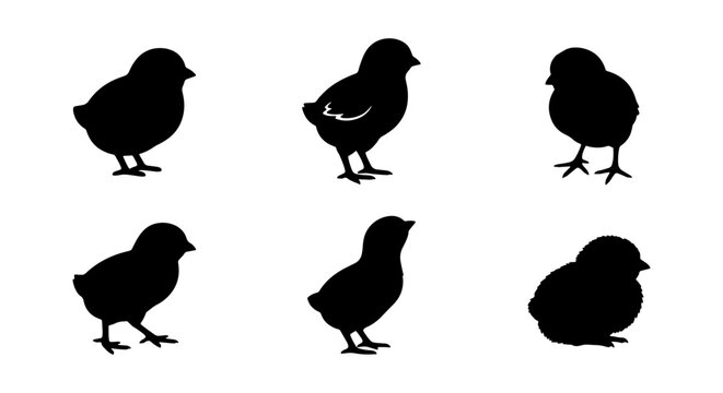 Six Black Silhouette Chicks Vector Icons Set, Cute Baby Bird Graphics, Simple Farm Animal Illustrations, Spring Easter Holiday Design Elements