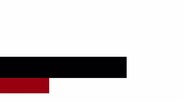 Minimal animated lower third animation with sliding red accent and clean black bar, isolated on transparent background for modern broadcast and corporate video projects in 4K with Alpha Channel