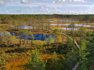Obraz premium High angle view of a wooden boardwalk winding through a scenic bog landscape with lakes.